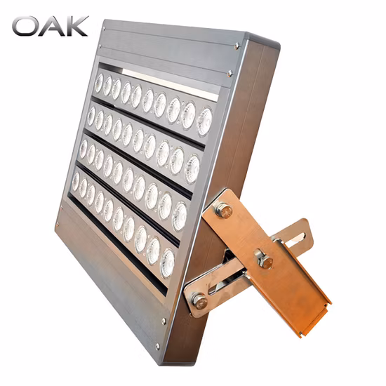 High Power LED Flood Light with Adjustable Multi